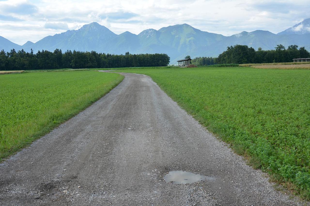 Apartma Vidmar Šenčur Exteriör bild